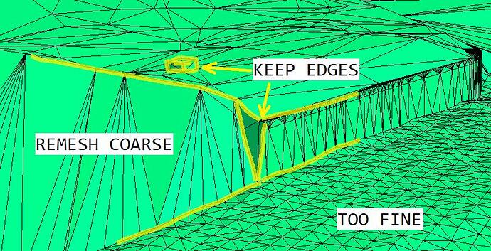 remesh_constraints